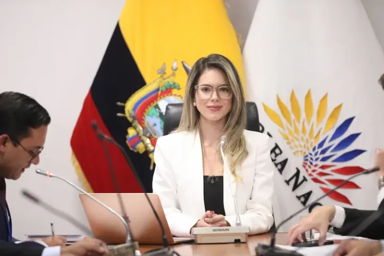 Asambleísta Rosa Torres niega vínculos ilícitos y habla de campaña de desprestigio digital