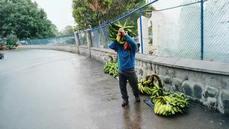 Un padre recorre selva y ríos para sostener el tratamiento médico de su hija en Cuenca