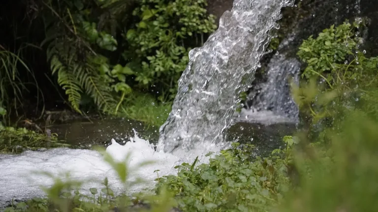 Más de 70.000 hectáreas de páramos intervenidas y el ahorro de20 millones de litros de agua, son el resultado de una gestiónsostenible de este recurso