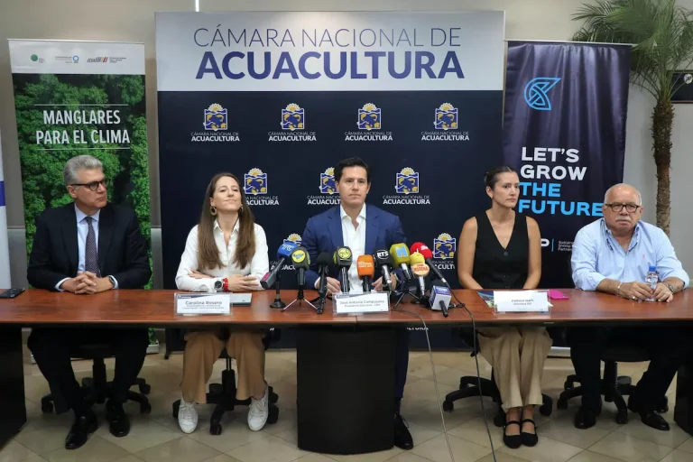 Alianza estratégica impulsa la restauración de manglares y la sostenibilidad en la industria camaronera ecuatoriana