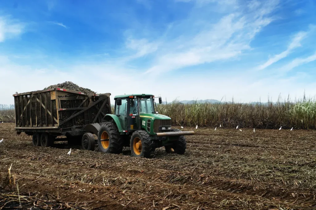 Ingenio San Carlos inicia su Zafra #129: Motor de empleo y energía renovable para el Ecuador